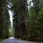 Best Scenic America Calendar 2023