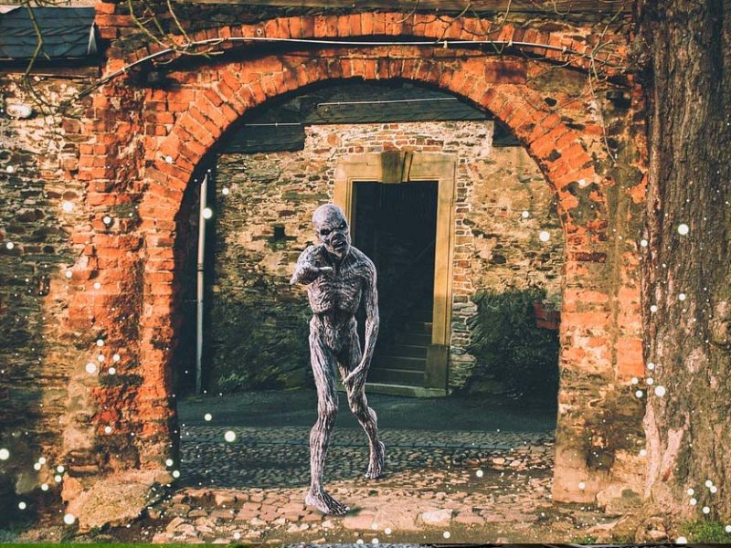 The Best Walking Dead Calendars for Thrill Seekers