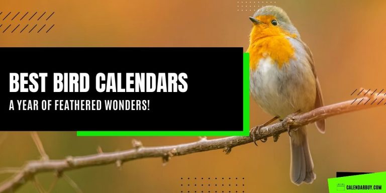 Best Bird Calendar for A Year of Feathered Wonders!