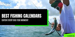 Best Fishing Calendar to Catch Every Big Fish Moment