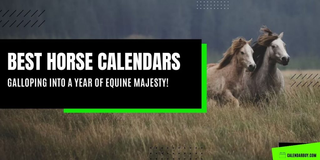 [Top 11] Best Horse Calendar 2025 2026 for Equestrian Enthusiasts