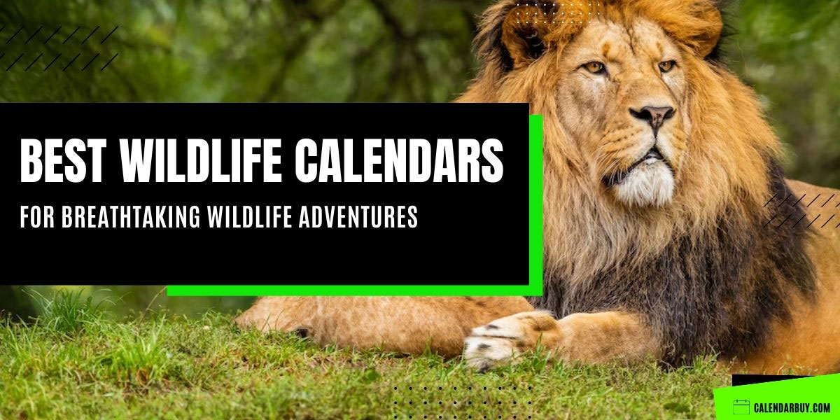 Best Wildlife Calendar