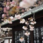Best Japanese Calendar 2023