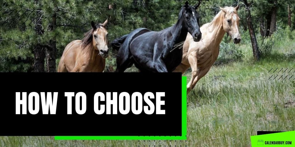 How to Choose Perfect Horse Calendar