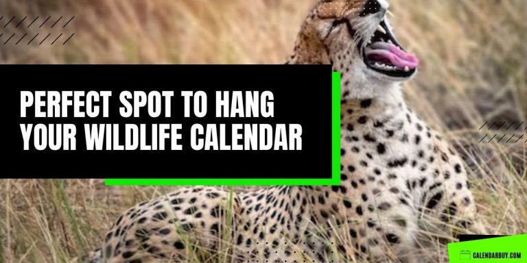 Perfect Spots to Hang Your Wildlife Calendar
