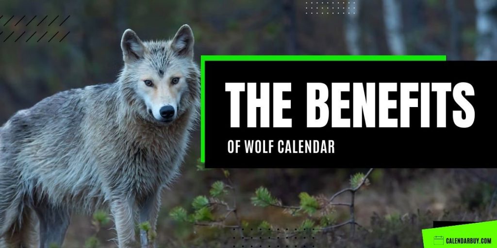 Perks of Having Wolf Calendar