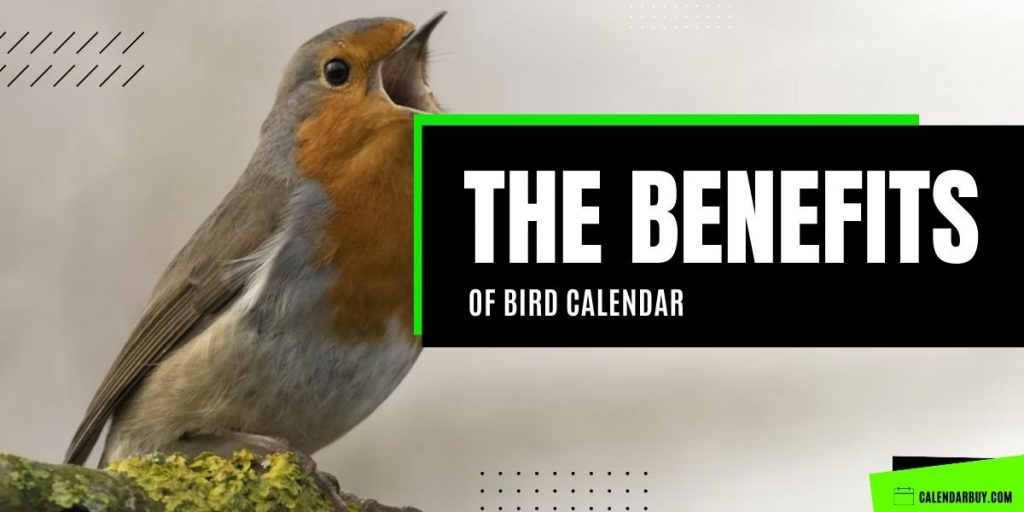 Perks of Having Bird Calendar