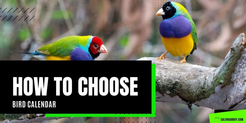 How to Choose Bird Calendar
