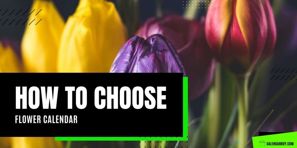 How to Choose Flower Calendar