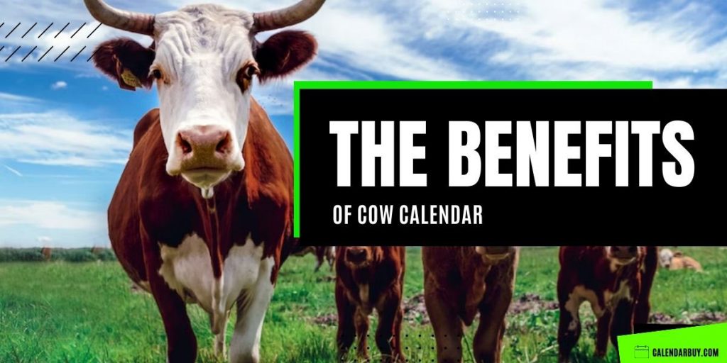 Perks of Having Cow Calendar